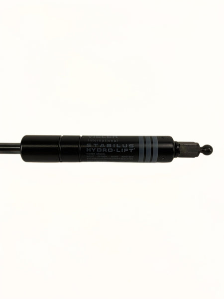 Hillphoenix 100N Piston P063819M